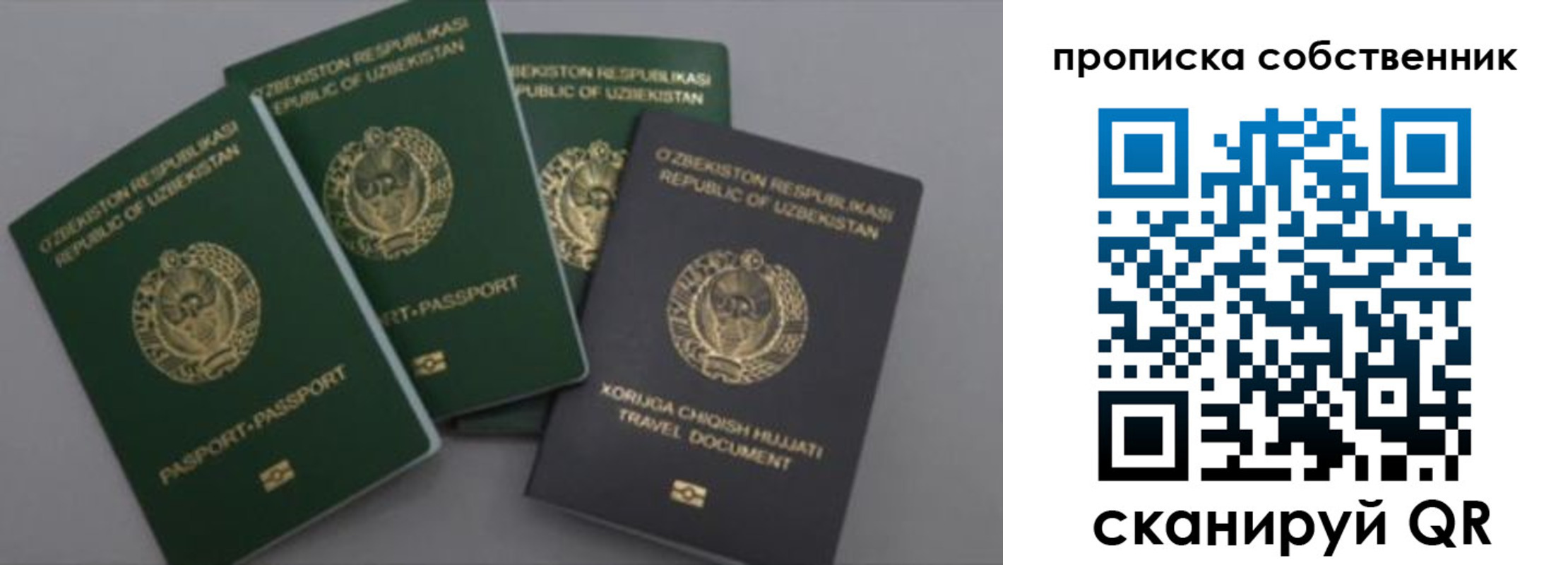 прописка штамп в Ярославской области